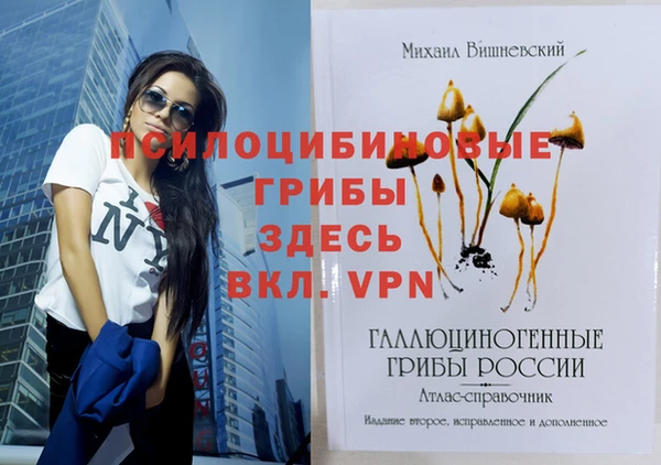тгк Зеленодольск