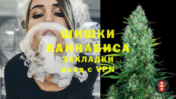 тгк Зеленодольск