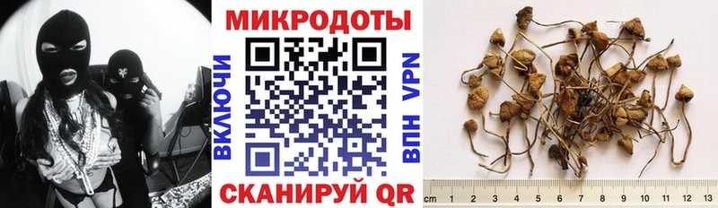 Галлюциногенные грибы Psilocybe  Купить где  Нерехта 